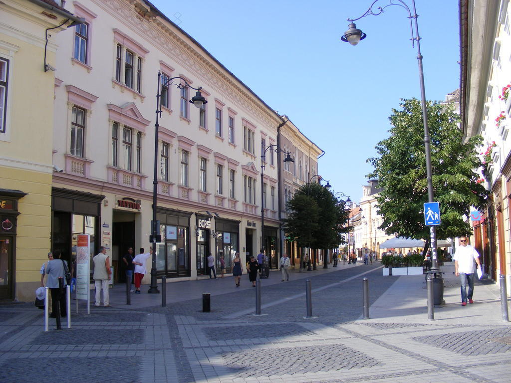 Garsoniera Central Sibiu Værelse billede